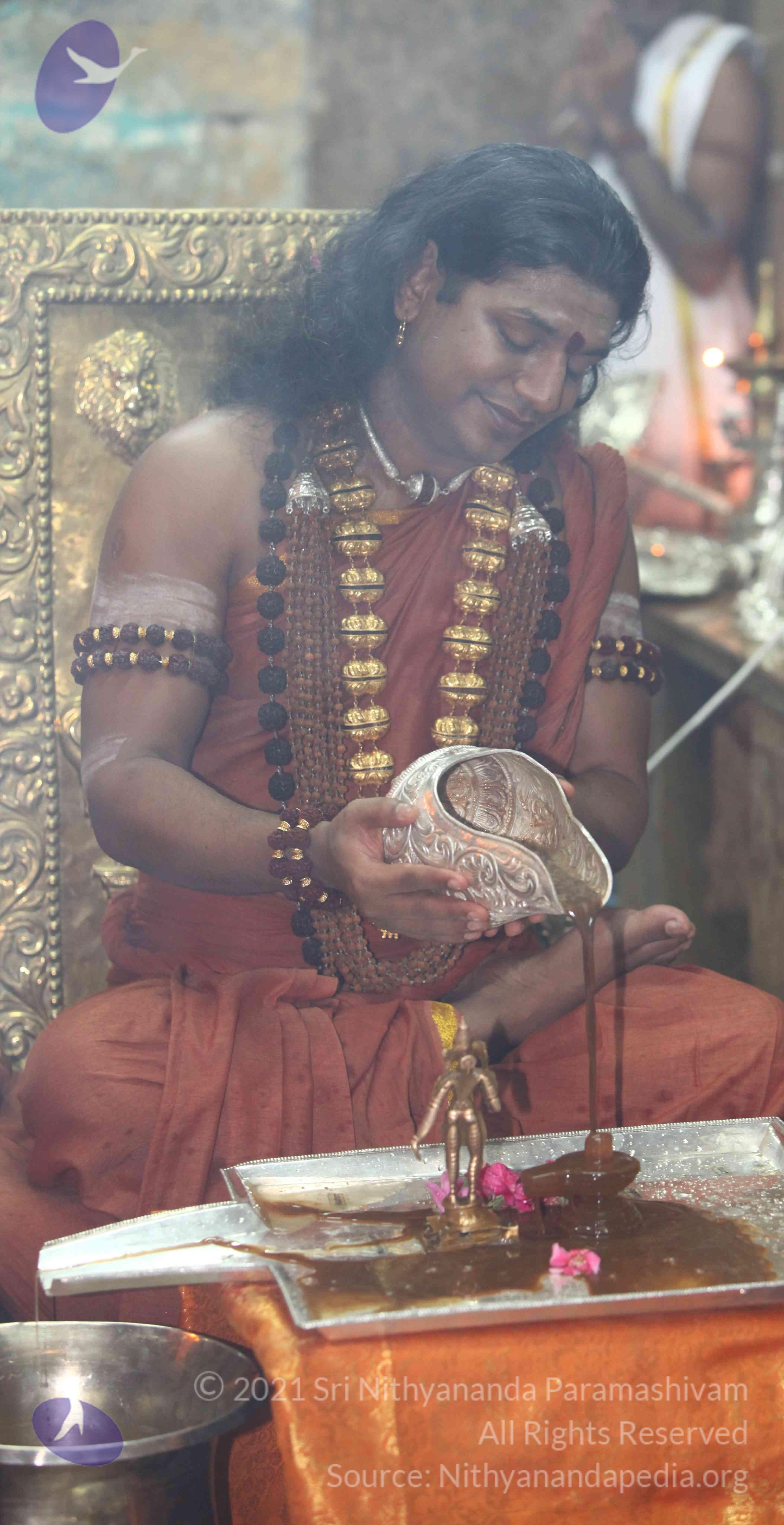 IMG_3240_CMP_WM Done